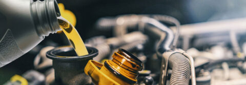 European Auto Oil Change Service: Kalamazoo, MI